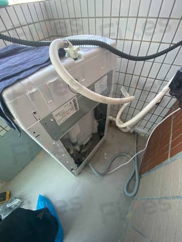 相關相片