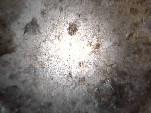 搬入新居前的潔淨檢查 🧽：清洗專員與這部Whirlpool前置式洗衣機的故事