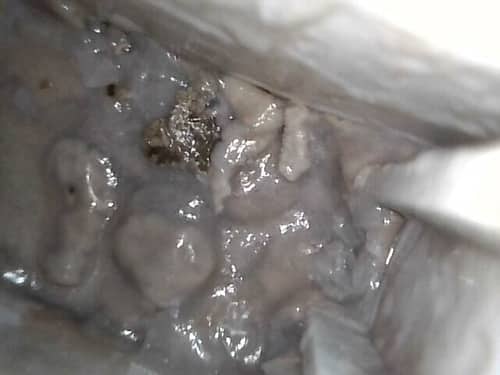 租客疑問黑白污垢緣由，這部Whirlpool前置式洗衣機內部清洗真相🧹