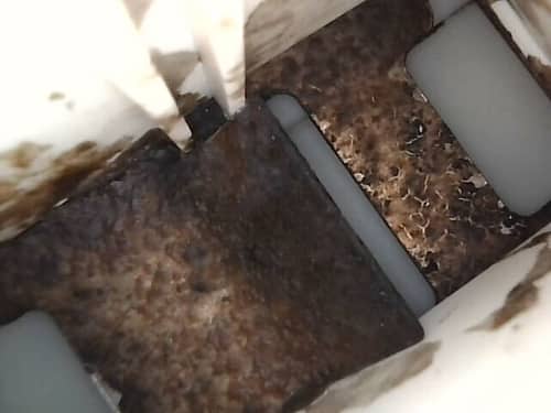 長期閉門的隱憂🪥：清洗專員如何重現這部Siemens前置式洗衣機的亮麗風貌