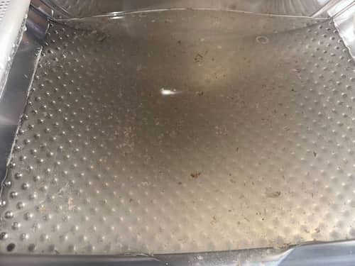 清洗專員用內窺鏡🔬揭示余先生這部De-Dietrich前置式洗衣機的無形儲污庫