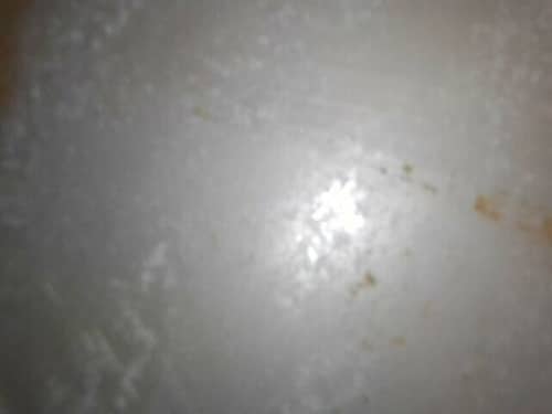 清洗專員帶何小姐展開這部Indesit上置式洗衣機的深層除黴之旅🦠