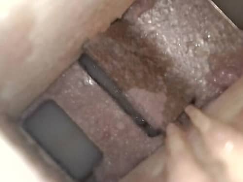 排水問題解決後，清洗專員深度清潔楊小姐家這部西門子前置式洗衣機🔬