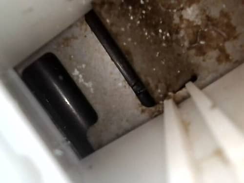 新家初用這部Siemens前置式洗衣機，清洗專員用鏡頭揭開暗藏髒汙🦠