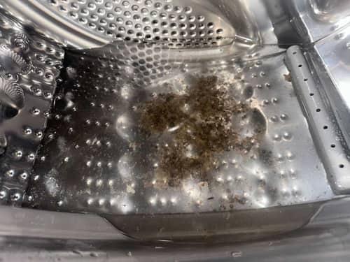 煩惱直擊：陳先生的這部LG前置式洗衣機甩不掉黑色碎屑🦠