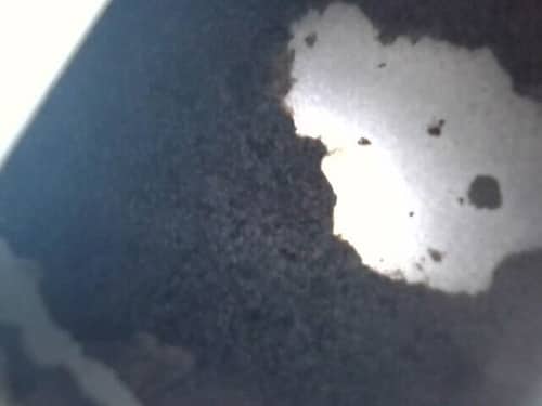 揭開黑色小怪獸的真面目：洪小姐邀清洗專員檢查這部Siemens前置式洗衣機🦠