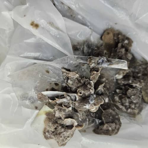 洗衣口袋硬幣卡住，這部Candy洗衣機E20故障碼無法排水🤔