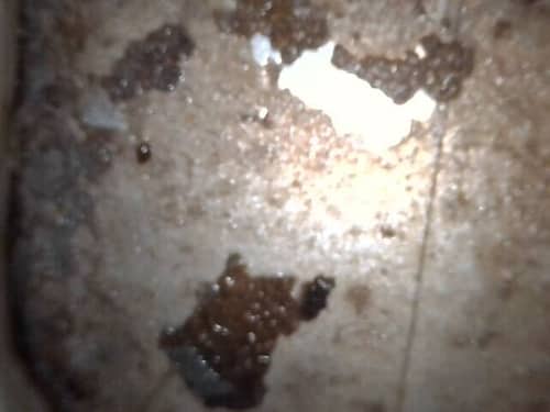 馬小姐回港後的困擾：清洗專員拆解這部Whirlpool前置式洗衣機的隱藏髒汙🔬