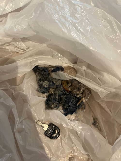 這部Rosieres RILS系列洗衣機E03過濾器暗藏異物：師傅拆解清理襪子與鎖匙 🧦