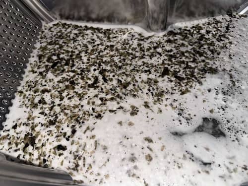 預期輕微污漬，這部Zanussi前置式洗衣機內部狀況讓陳小姐目瞪口呆 🫣