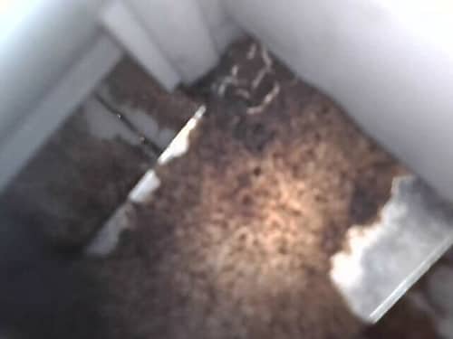 何小姐白襯衫上的黑色污點之謎，這部Zanussi前置式洗衣機隱藏的真相 🕵️