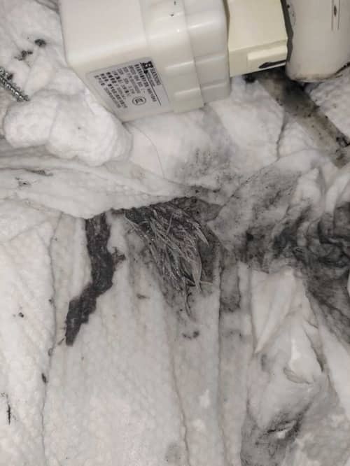 衣袋裡的米粉化身「塞喉元兇」，導致這部西門子WM系列洗衣機顯示E36-10 🥣