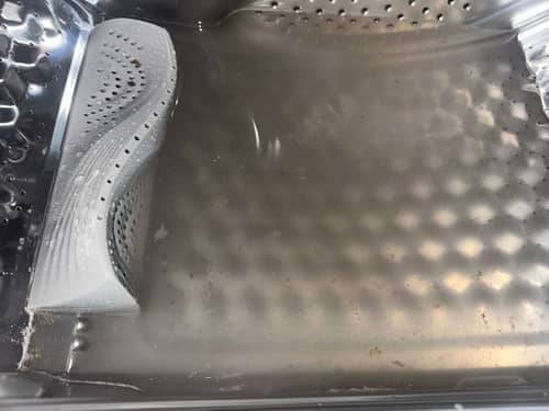 市面清潔劑都試過仍有異味？這部Toshiba前置式洗衣機的隱藏污垢 👃