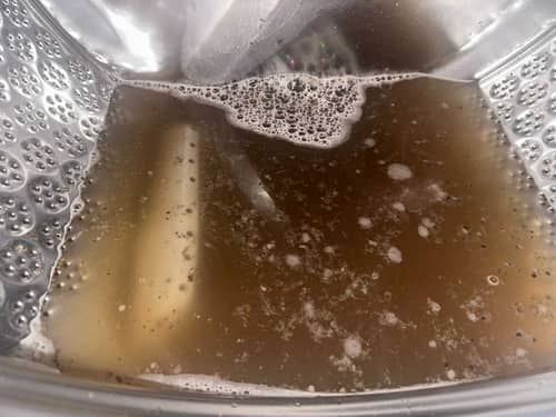 「千萬不要給我看」超過一年未清洗，這部Zanussi前置式洗衣機讓屋主秒退兩步 🫣