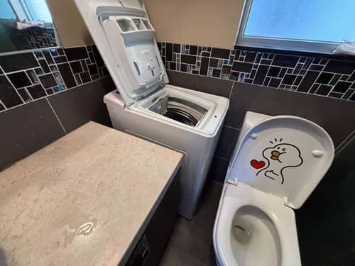 插針式擺放的這部Philco PTL系列洗衣機門鉸斷裂，劉生如何避免拆廁所換新機？🏠