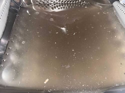 衣服莫名出現黑色線條✏️這部LG前置式洗衣機內藏驚人污垢真相