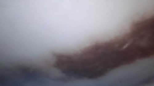 每次洗完衣服都黏黏的？原來這部Brandt上置式洗衣機內部積滿殘留物🦠