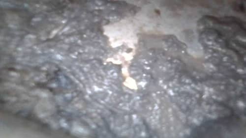 曾遇劣質清洗致全屋惡臭？這部Bauknecht洗衣機黃小姐如何擺脫陰影重獲潔淨 🍃