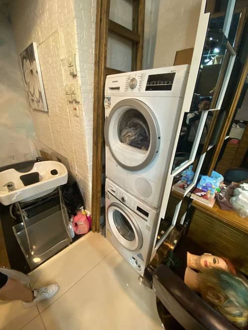 沙龍店西門子WM系列洗衣機E18故障碼突襲 💇‍♀️ 師傅如何在繁忙通道完成精密拆解