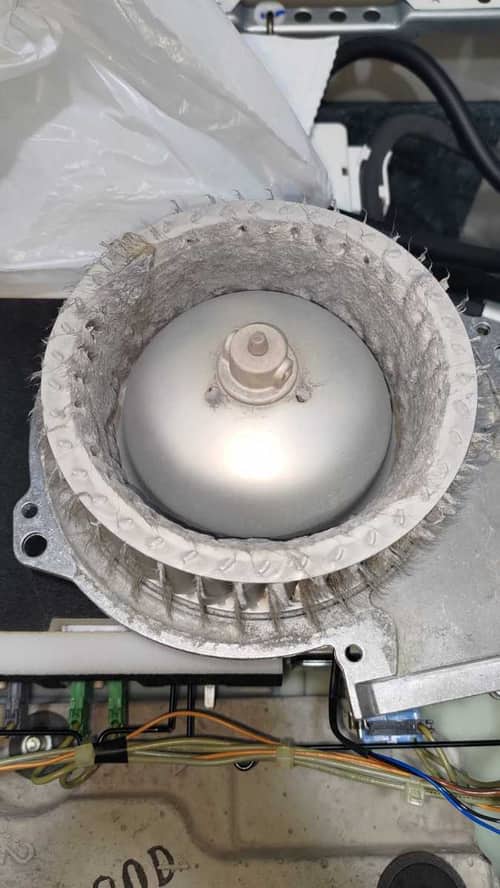 烘乾兩小時衣服仍濕透？這部西門子WD系列洗衣機風道藏了驚人貓毛量 🐱