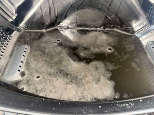 以為有定期清潔就沒問題？這部Electrolux前置式洗衣機內膽深處其實藏滿污漬🧺