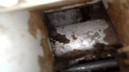 灰塵多、衣服又有怪污漬？這部 Siemens 前置式洗衣機內膽清洗後的改變🧽