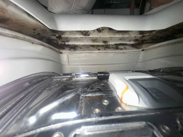 洗衣機內膽霉菌清潔案例🧴Siemens西門子上置式洗衣機WP10T255HK