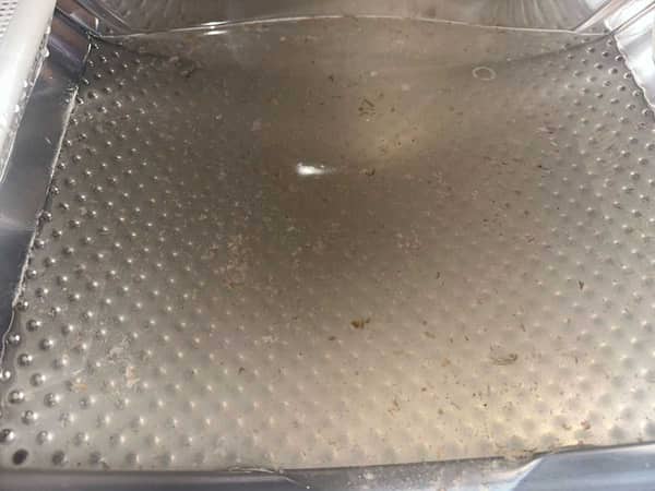 清洗專員用內窺鏡🔬揭示余先生這部De-Dietrich前置式洗衣機的無形儲污庫