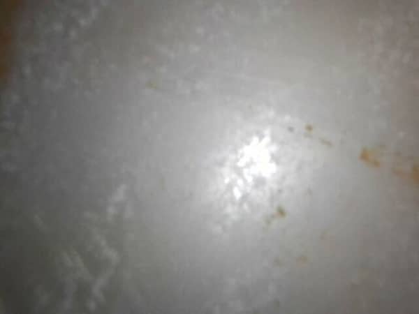 清洗專員帶何小姐展開這部Indesit上置式洗衣機的深層除黴之旅🦠