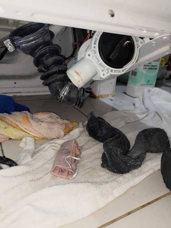 為何這部Zanussi ZWF系列洗衣機E21故障無法排水？襪子與內衣扣隱形塞 🤔