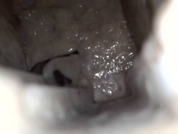 黃小姐家的工人姐姐洗劑過量陷阱🦠：這部Whirlpool前置式洗衣機的啫喱狀污垢故事