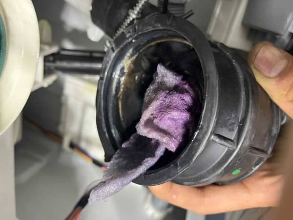吸色紙沒放洗衣袋，這部Indesit EWSD系列洗衣機F05故障警示 📋