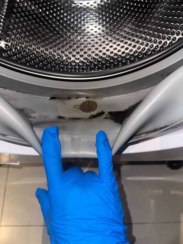 為何嚴先生家中這部西門子前置式洗衣機門膠邊總是藏黴菌🧫