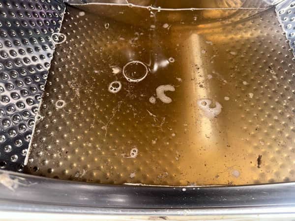 搬進新家驚見這部De-Dietrich前置式洗衣機門膠霉菌，清洗專員來救援🦠