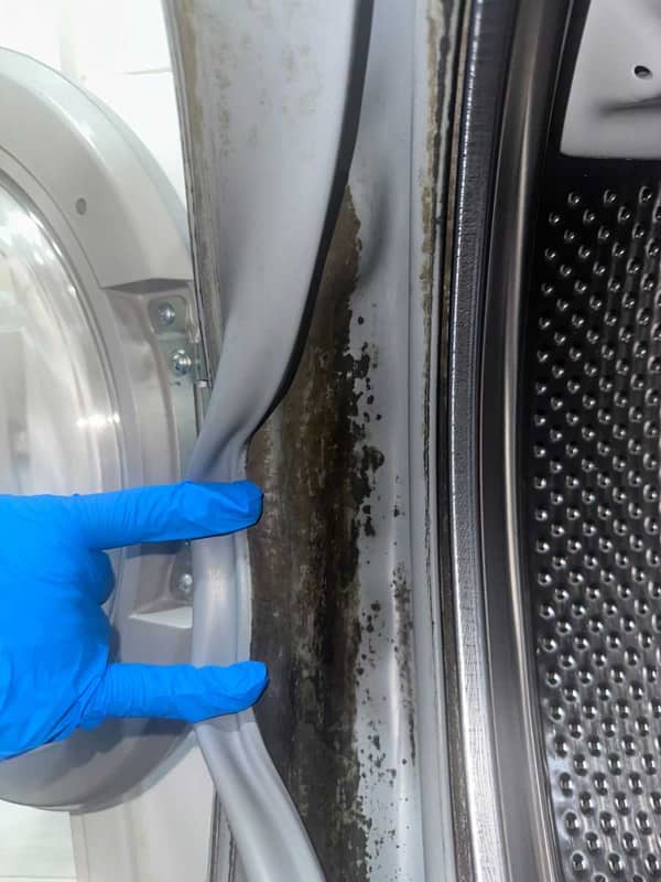 從日式轉用前置式洗衣機的困擾？張小姐這部Ariston洗衣機門膠邊霉菌解決過程 🍄