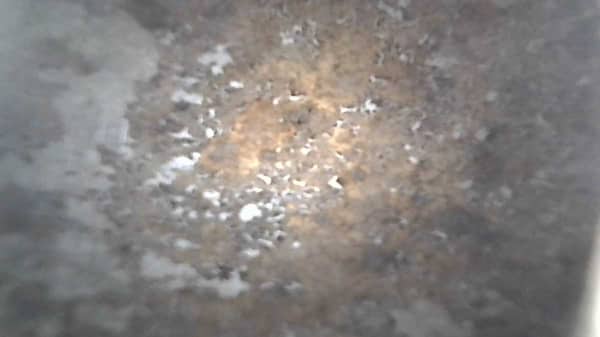 衫洗完成日有黑點黐住🔍 原來這部Siemens前置式洗衣機內藏污垢