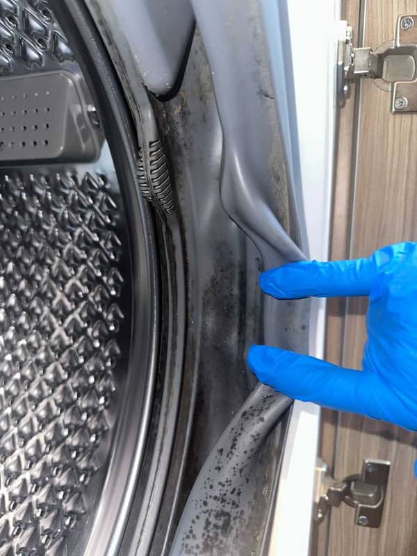收回出租單位驚見這部De-Dietrich前置式洗衣機門膠發霉，業主決定先清洗再放租🔍