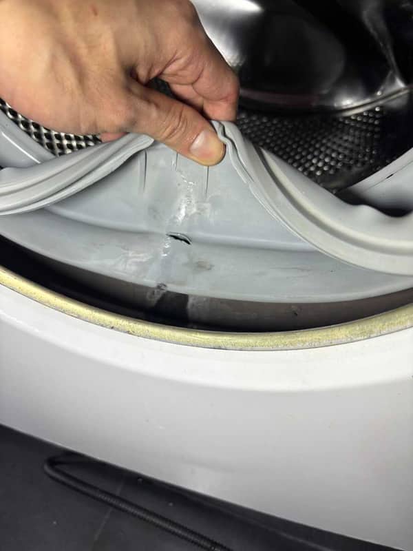 這部西門子WM系列洗衣機機底漏水成災💧師傅揭開門膠邊驚人破損真相
