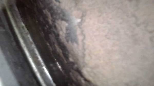 每天為一家人洗衣的這部 Whirlpool 前置式洗衣機，其實藏著厚厚一層黏稠污垢🧺