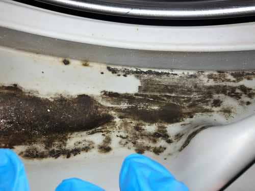 新租客的霉菌清除挑戰🌟Siemens西門子前置式二合一洗衣乾衣機 WK14D321HK/07