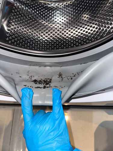 徹底清除門膠邊霉菌及內部污垢🧫Siemens西門子前置式二合一洗衣機WK14D321HK/07
