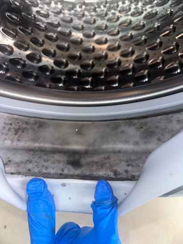西門子洗衣機門膠邊除霉大解決🦠Siemens西門子前置式洗衣機 WD15G420HK/01