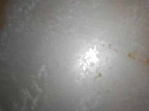 清洗專員帶何小姐展開這部Indesit上置式洗衣機的深層除黴之旅🦠