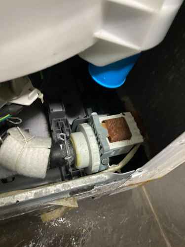 謝小姐忙碌下的洗衣煩惱：這部東芝AWJ系列日式洗衣機排水泵失靈後現場更換修復 😌