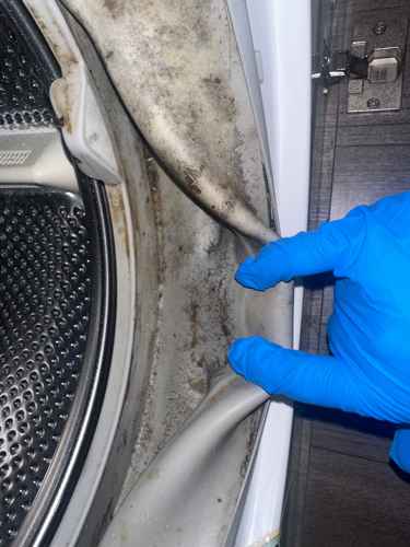 新租屋必備檢查：清洗專員揭露這部西門子前置式洗衣機的隱形黴菌🦠