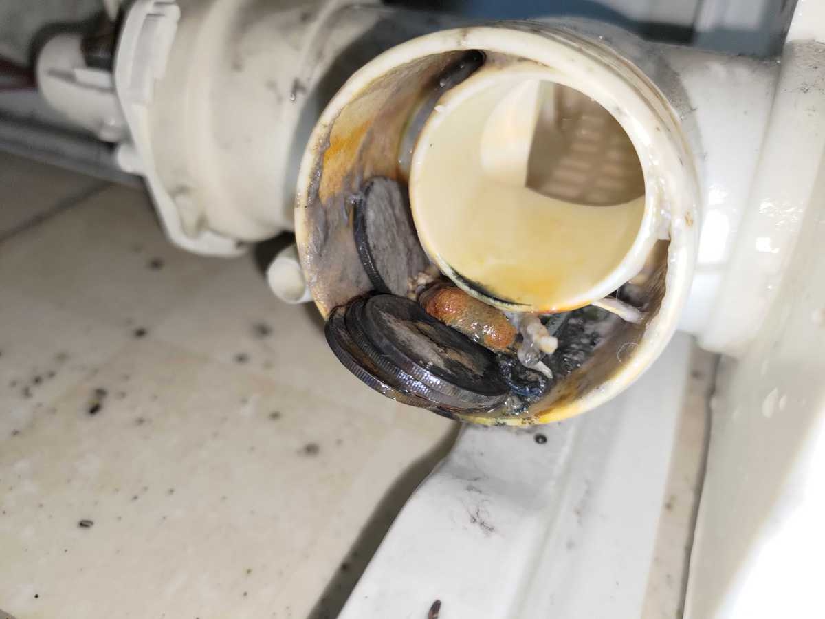 這部Zanussi ZWS系列洗衣機排水緩慢，主因金屬襟章與硬幣卡喉 🪙