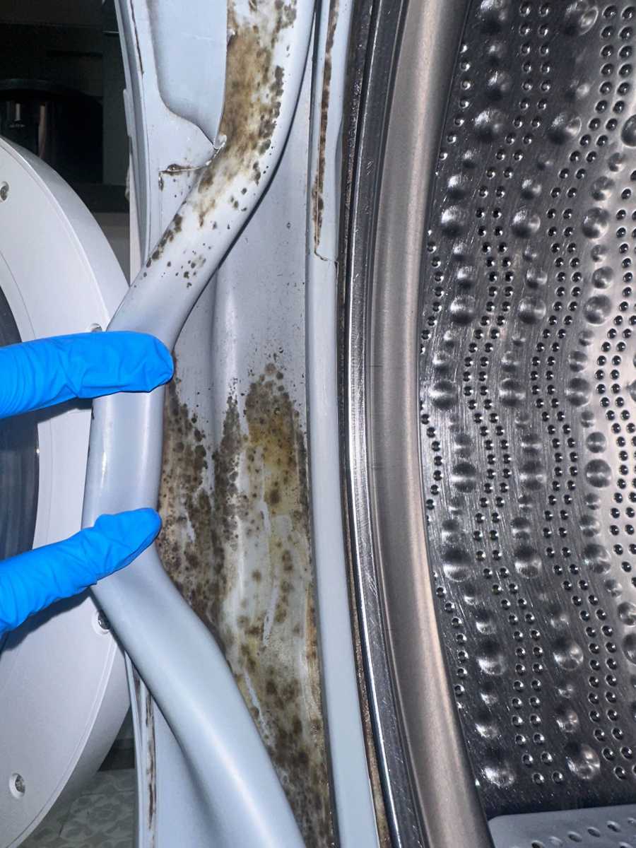 家裡衣物越洗越髒？清洗專員揭露這部Siemens前置式洗衣機門膠隱藏污垢🦠