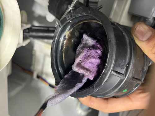 吸色紙沒放洗衣袋，這部Indesit EWSD系列洗衣機F05故障警示 📋