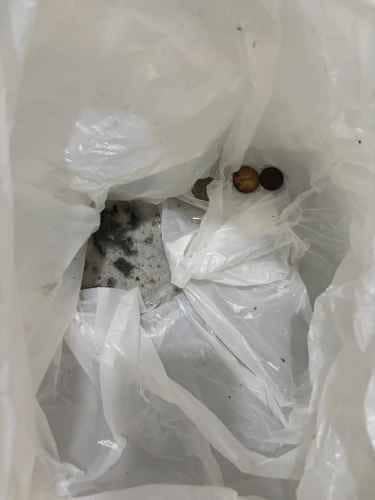 這部日立NW系列洗衣機洗完衣服仍濕答答？師傅拆機竟發現硬幣卡住排水喉 🪙