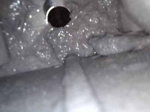 清洗專員發現這部Gorenje前置式洗衣機裡的隱形小怪獸🧽